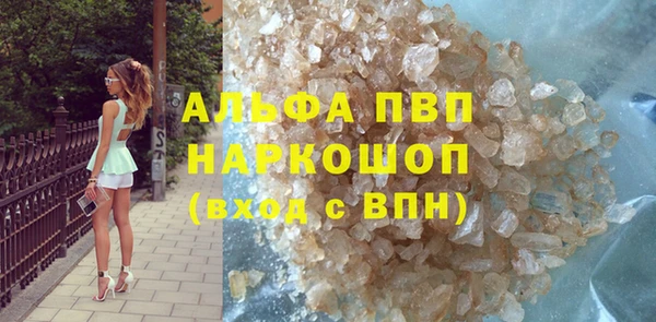 гидра Бородино