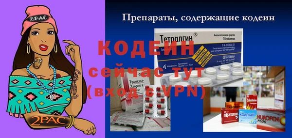 гидра Бородино