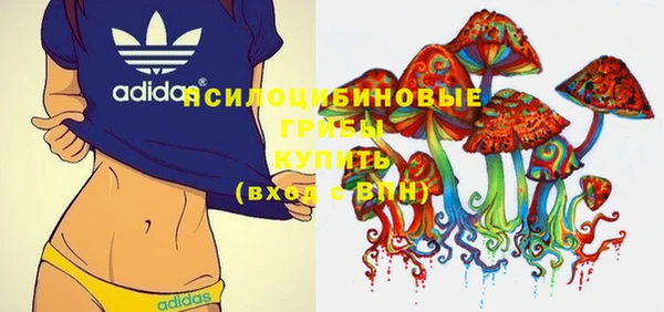 гидра Бородино