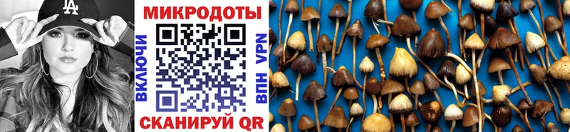 Галлюциногенные грибы мухоморы  сайты даркнета как зайти  Катав-Ивановск  сколько стоит 